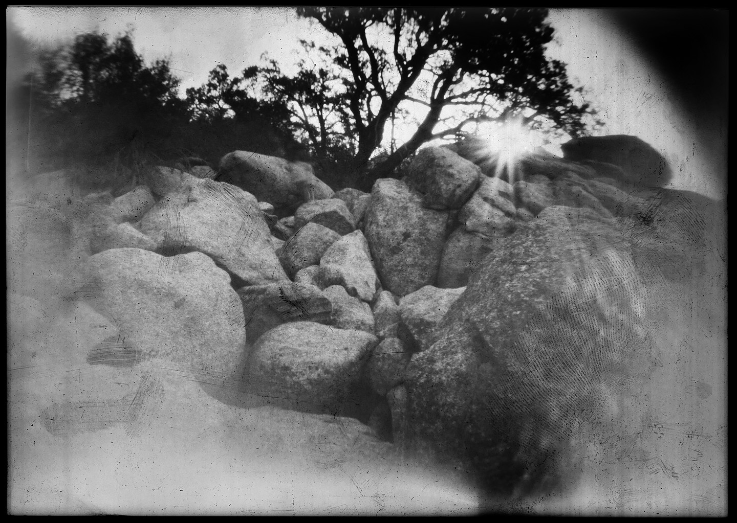 Black and white paper negative pinhole photograph of rocks and pinyon pine trees in Baja California Mexico