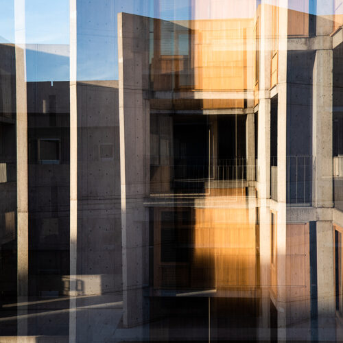 Salk Institute