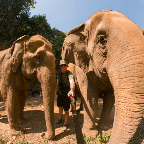 Chris Keeney self portrait with Thai elephants in the mountains near Chiang Mai
