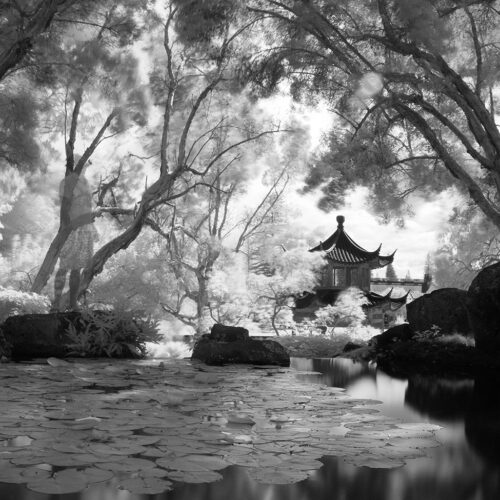Infrared black and white self portrait of Chris Keeney standing next to lily pond in Lanai Hawaii