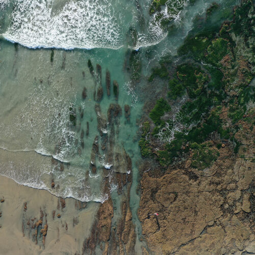 Del Mar tide pools