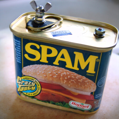 SPAMera™ 120 film pinhole camera with a wing-nut advance knob and says Crazy Tasty on the front