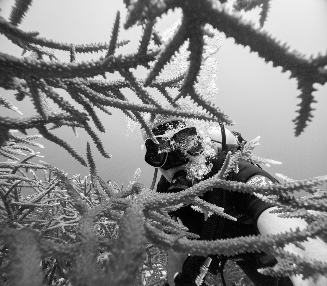 a black and white view of Chris Keeney seen through a large reef of staghorn coral while SCUBA diving in Thailand