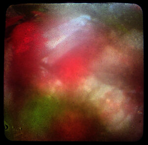 Looking through the ground glass viewfinder of a Kodak Duafelx camera but there's condensation making the image of the flower blurred and covered with moisture