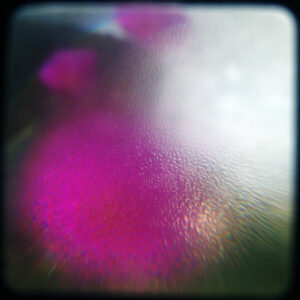 an experimental photograph of a pink flower seen through the wet viewfinder of a Kodak Duaflex camera showing a bright white highlight and moisture collecting on the lens