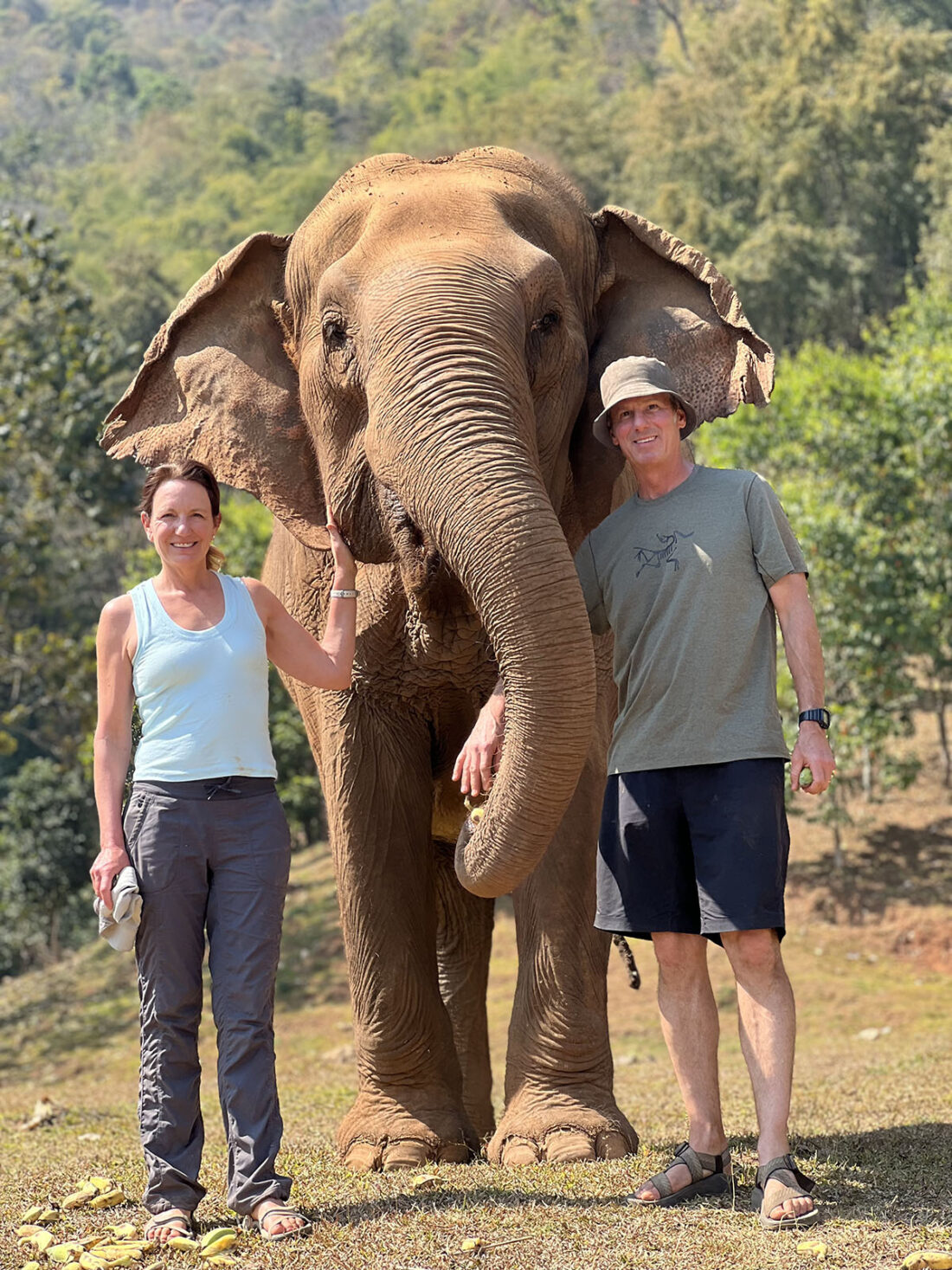 a photo of a woman and a man standing next to an adult female Asian elephant with one of their hands touching the elephant and green jungle behind them in Chiang Mai, Thailand