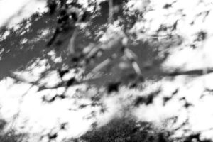 abstract black and white photography of shadows casted on a wall at a Buddhist temple in Kyoto Japan