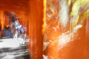 abstract color photograph of two people walking together through the orange Shinto gates of Fushimi Inari Taisha torii gates in Kyoto Japan.