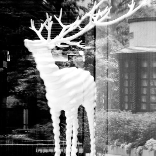 abstract black and white photograph of Japanese artist Kohei Nawa's White Deer art installation Tokyo Garden Terrace Kioicho