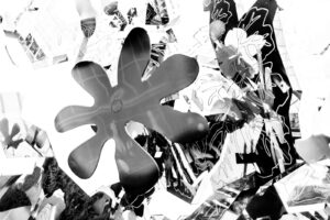 abstract black and white photography of Japanese artist Shinji Ohmaki. Photo shows floral outlines and shapes with shades of gray