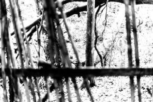 black and white abstract high contrast photography Japan