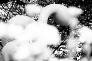 abstract black and white photograph of a modern art sculpture with rounds smooth shapes in a city garden in Tokyo Japan