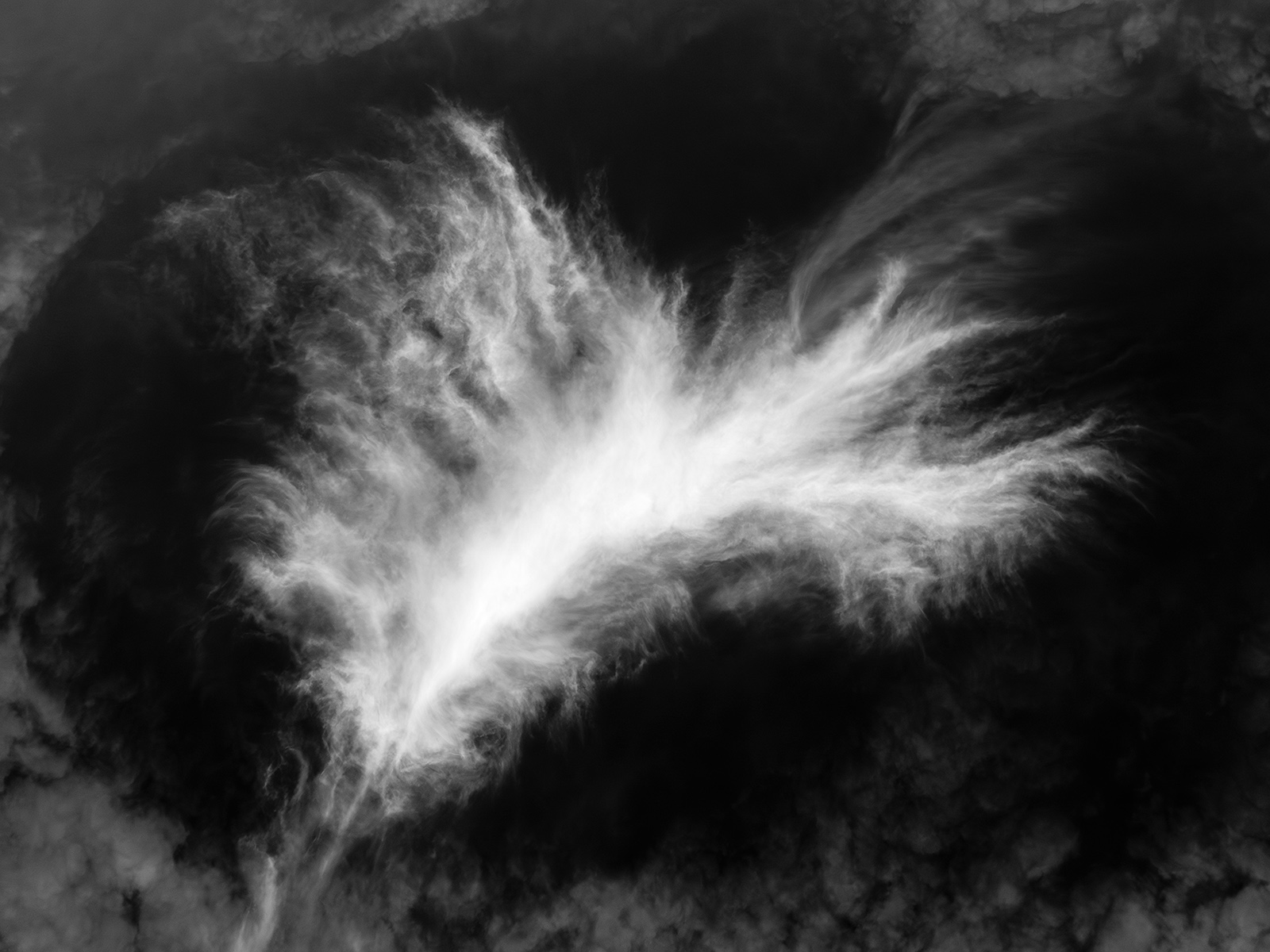 Abstract Black and White Photography Joshua Tree California