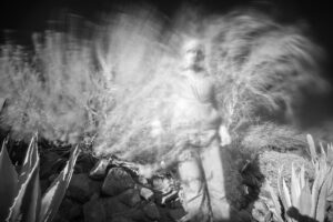 Black and white infrared photograph of a person standing in a desert landscape with agave, rocks and trees blurred in the background from being blown by the wind