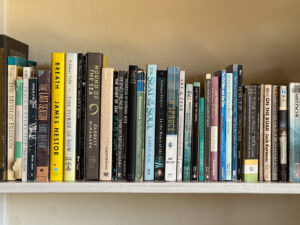 Hard and paper bound books on a shelf showing the spine of the books so you can read the title and authors name. Afternoon light filters gently through the window onto the wall casting shadows.