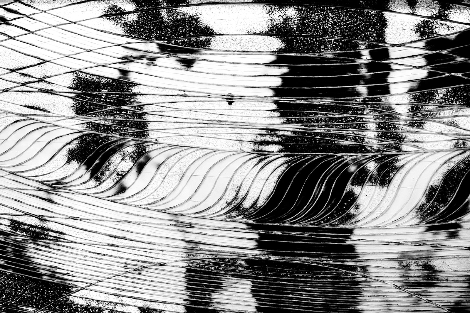 Organic Modern Black and White Street Photography Tokyo Japan