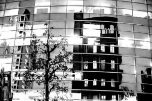 black and white nighttime high contrast photograph of the reflections on the windows of a building contrasted by the shape of a tree in the foreground and bright city lights in Tokyo Japan
