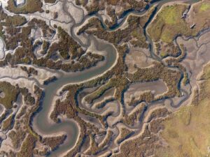 An aerial photograph captured with a drone camera pointed straight down over the Carpinteria Salt Marsh in California. The image reveals the winding river outlet, where dendritic drainage patterns carve organic, branching forms into the earth.